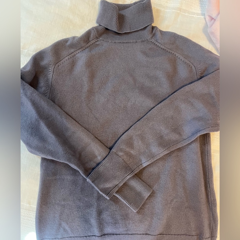 Aritzia Wilfred turtleneck